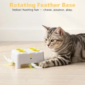 ‌Indoor Kitten Toy 3 Mode Rechargeable Interactive Cat Toy with Feathers & Accessories